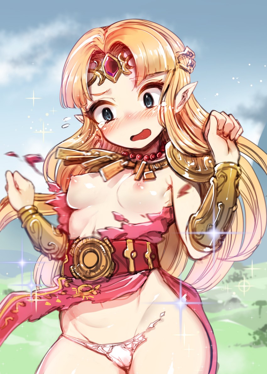 princess zelda (the legend of zelda and 2 more) drawn by harigane_shinshi
