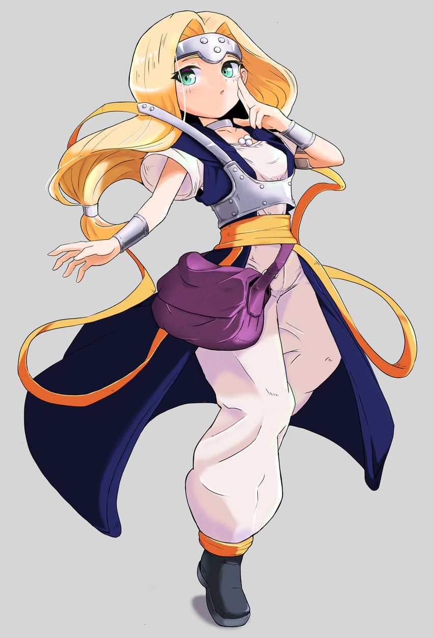 mireyu (dragon quest and 1 more) drawn by coco_(coco469ma)