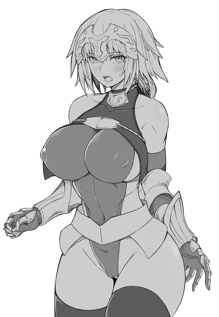 jeanne d'arc (fate and 1 more) drawn by winterbigfoot