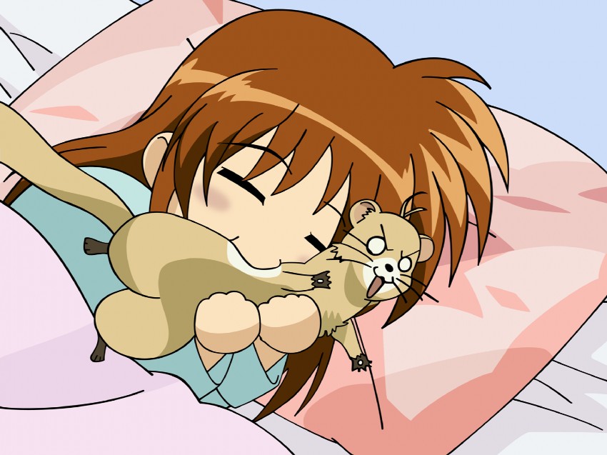 takamachi nanoha and yuuno scrya (lyrical nanoha and 2 more)