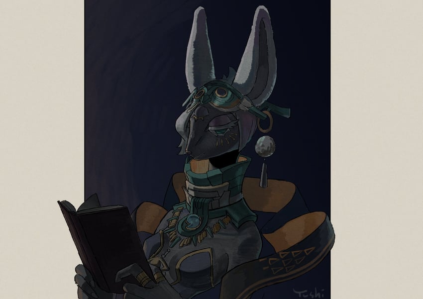 mineru (the legend of zelda and 1 more) drawn by tanaka_yuushi