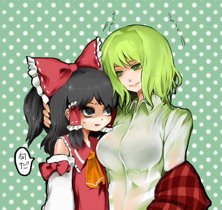 hakurei reimu and kazami yuuka (touhou) drawn by mushirou
