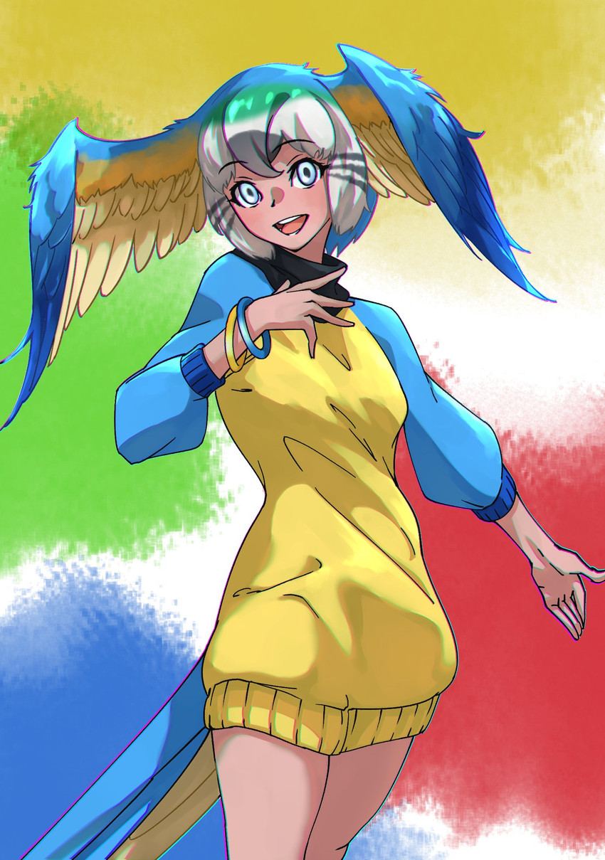 blue-and-yellow macaw (kemono friends) drawn by tanabe_(fueisei)
