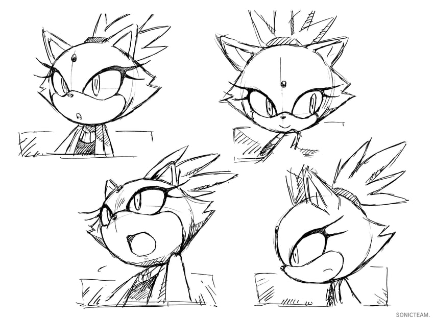 blaze the cat (sonic and 1 more) drawn by uekawa_yuji
