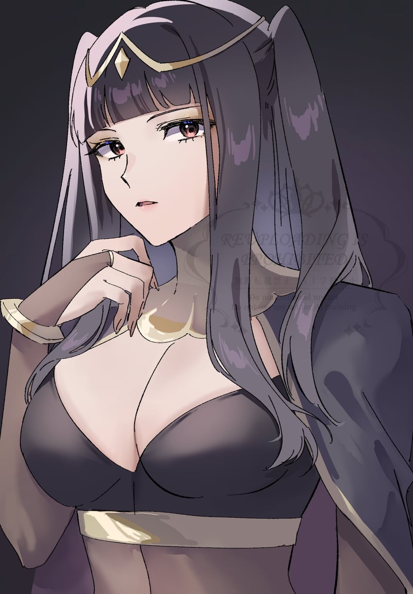 tharja (fire emblem and 1 more) drawn by tomo_shirasu