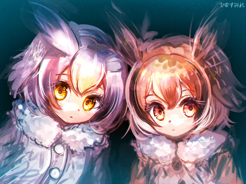 northern white-faced owl and eurasian eagle owl (kemono friends) drawn by hinasumire