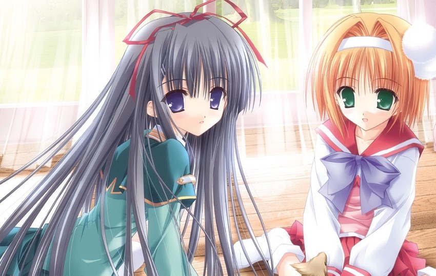 nagase sayaka and inatsuki nanami (soul link) drawn by tinker_bell_(pixiv_10956015)