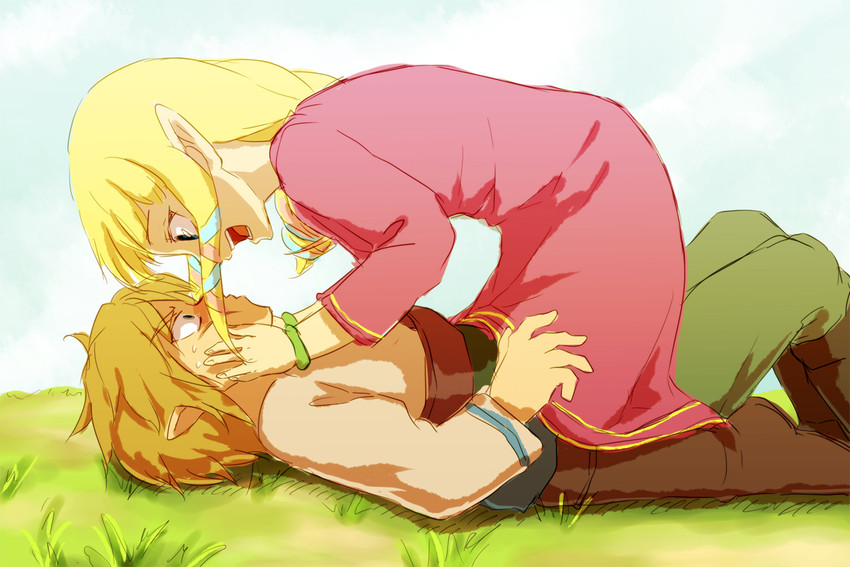 link and princess zelda (the legend of zelda and 1 more) drawn by saiba_(henrietta)