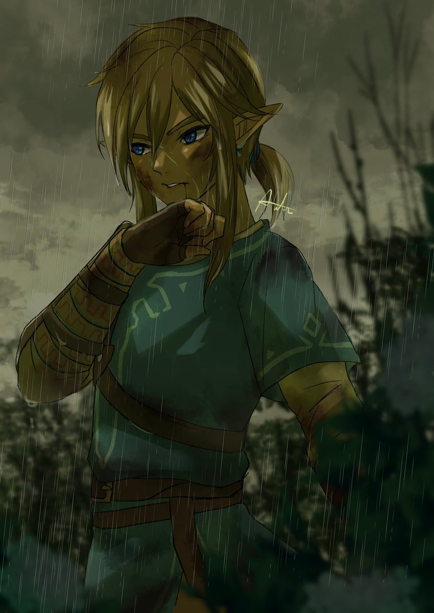 link (the legend of zelda and 1 more) drawn by sakuya_996