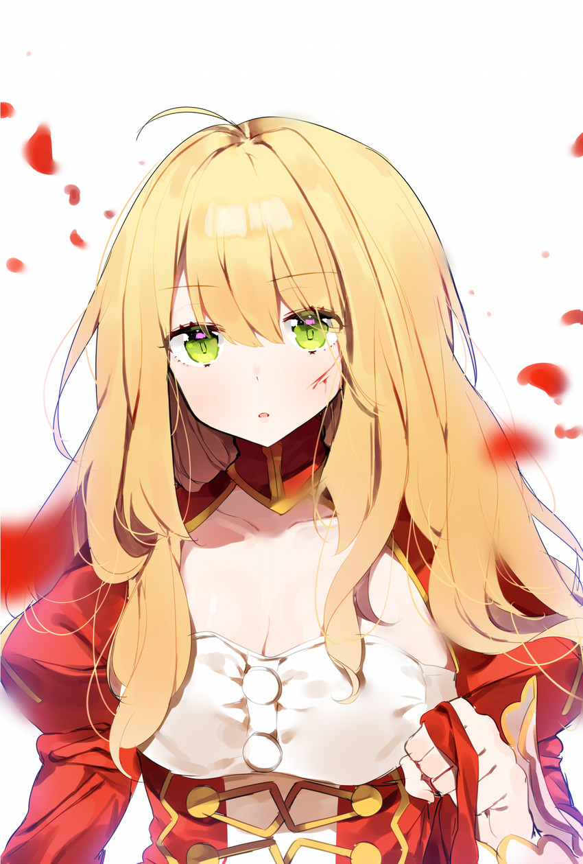 nero claudius (fate and 1 more) drawn by ongyageum