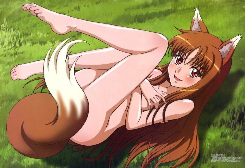 holo (megami magazine and 1 more) drawn by tanaka_masayuki