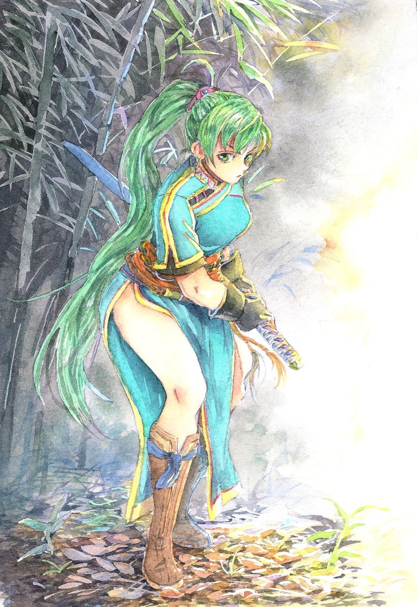 lyn (fire emblem and 1 more) drawn by liu_(naiqin)