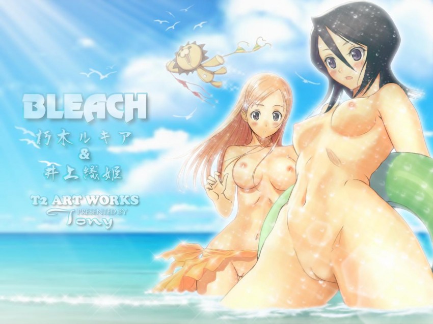 kuchiki rukia, inoue orihime, and kon (bleach) drawn by tony_taka