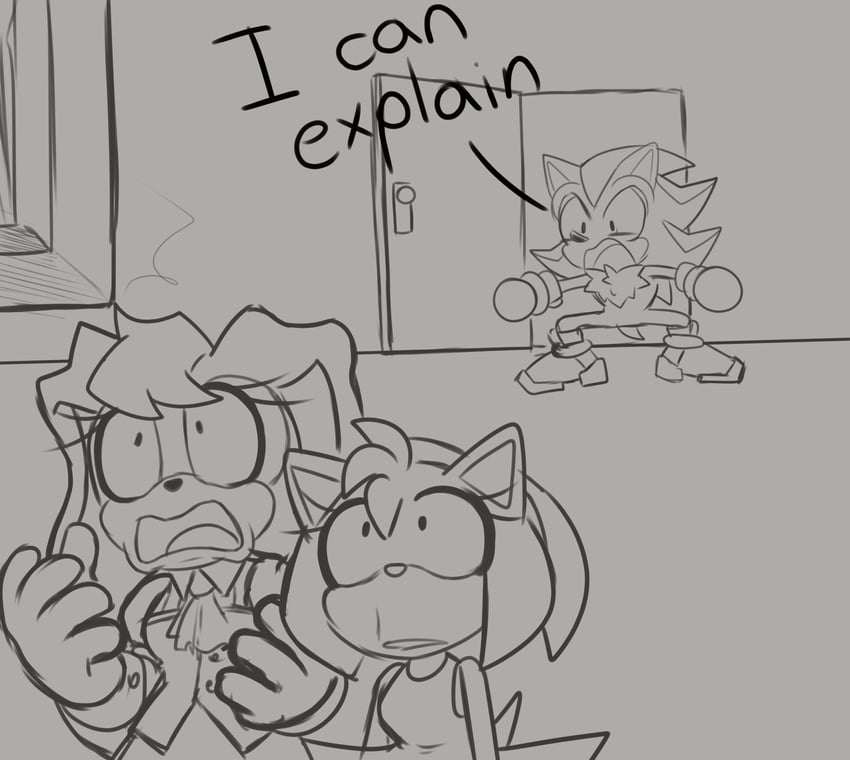 shadow the hedgehog, amy rose, and vanilla the rabbit (sonic) drawn by karl0