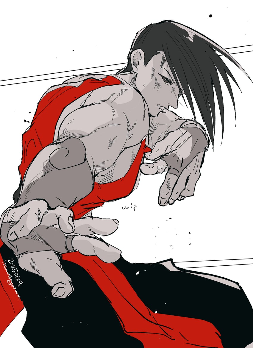 yang lee (street fighter and 1 more) drawn by ikinaribaguruna