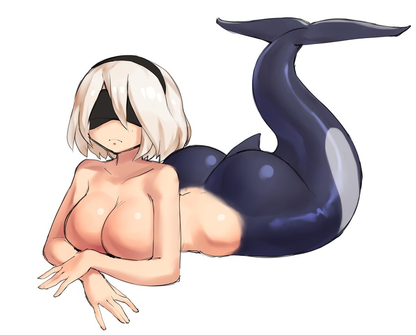 2b (nier and 1 more) drawn by borvar