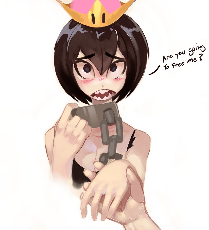princess chain chomp (mario and 1 more) drawn by shnider