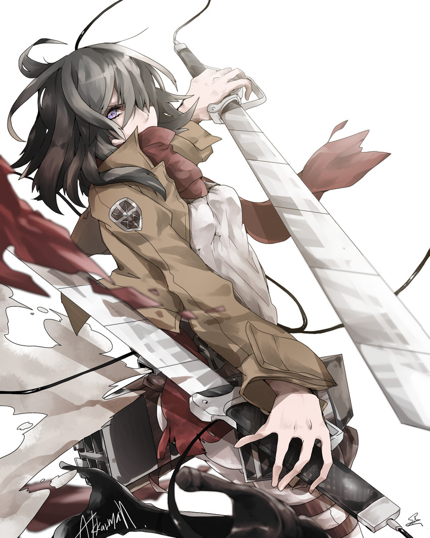 mikasa ackerman (shingeki no kyojin) drawn by saihate_(d3)