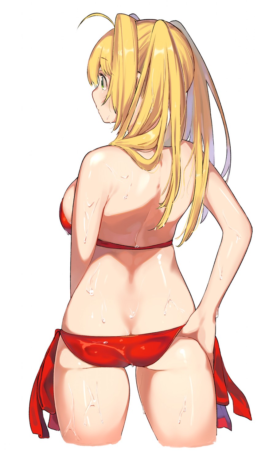 nero claudius (fate and 1 more) drawn by kei_(soundcross)