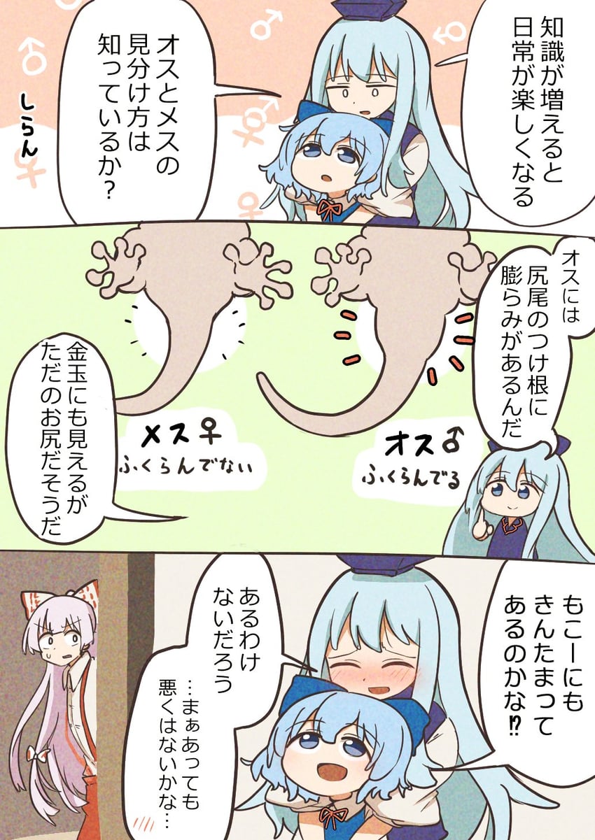 cirno, fujiwara no mokou, and kamishirasawa keine (touhou) drawn by kyuukei_usagi