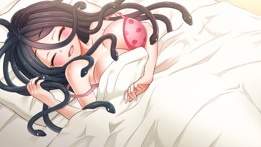 shiana (monster musume no iru nichijou and 1 more)
