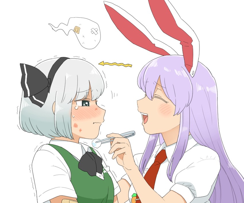 konpaku youmu and reisen udongein inaba (touhou) drawn by koyama_shigeru