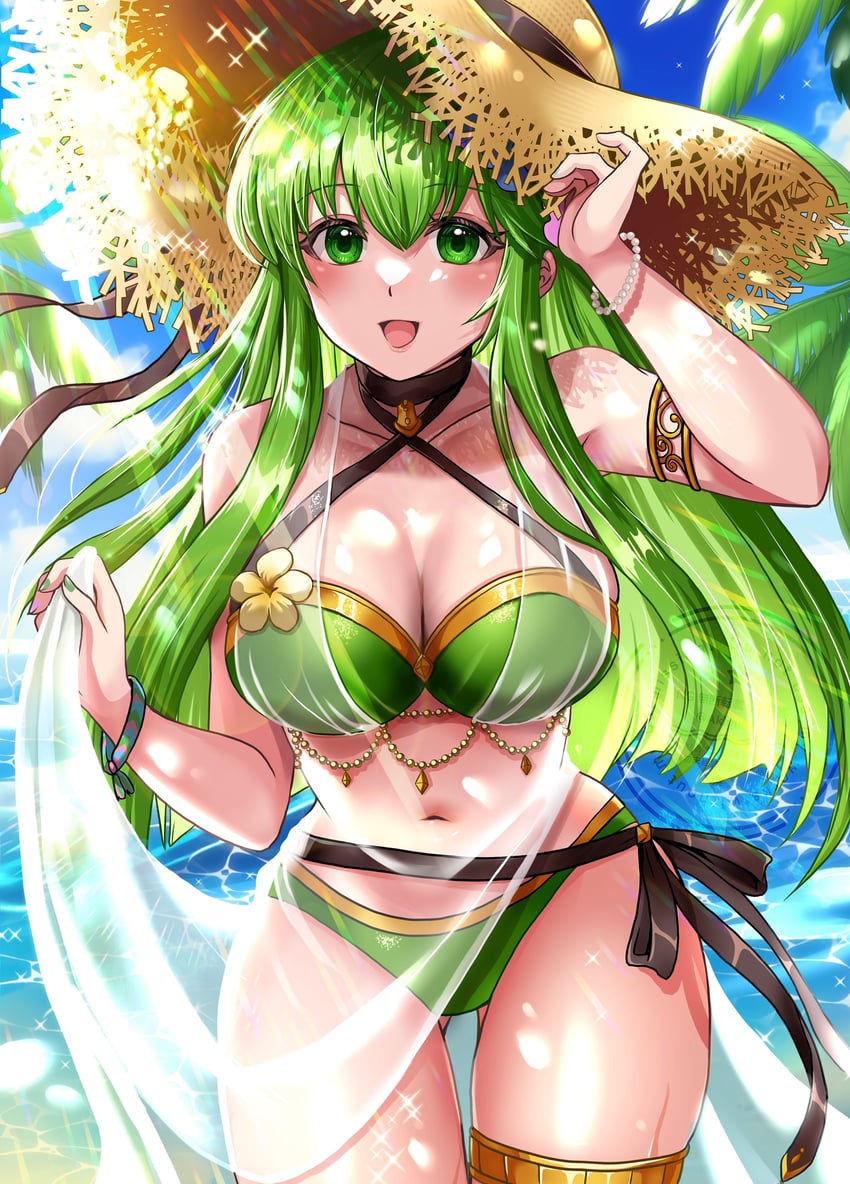 palla (fire emblem and 2 more) drawn by akimiiiii