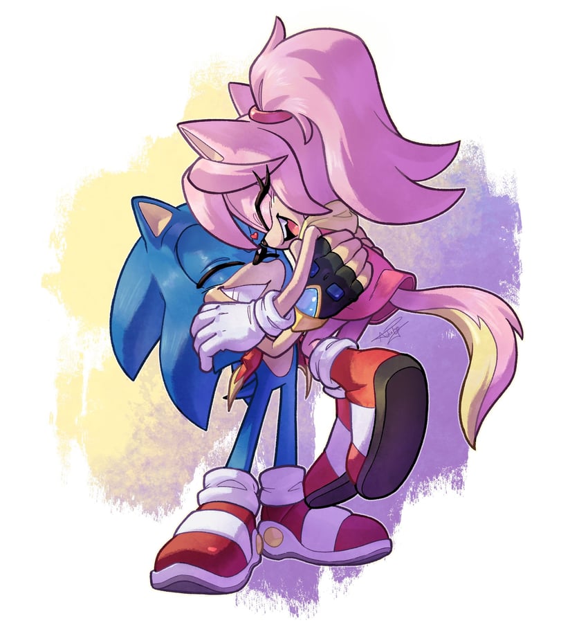 sonic the hedgehog and kookie the hedgecat (original and 1 more) drawn by aideneye99