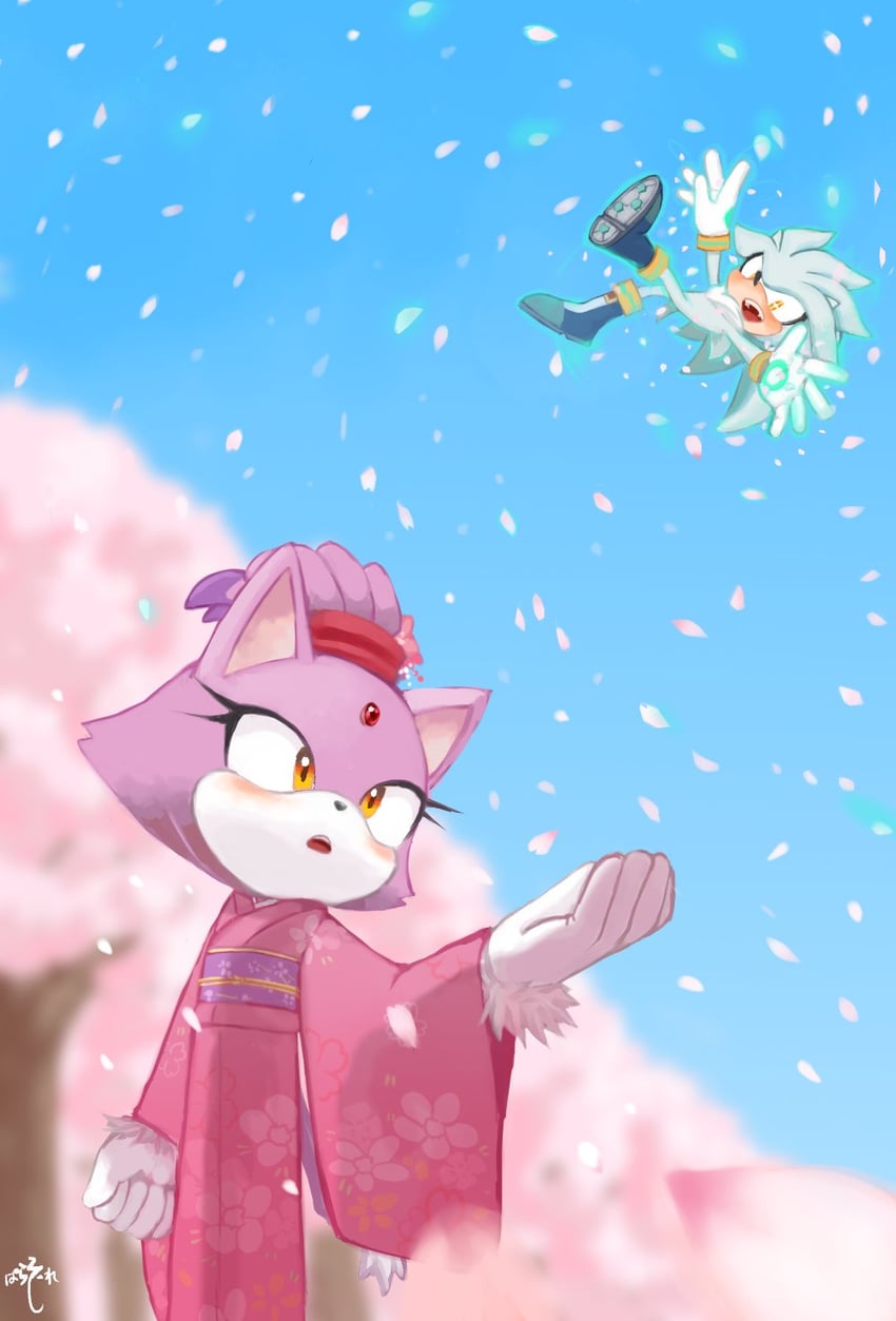 blaze the cat and silver the hedgehog (sonic) drawn by parada_paradise