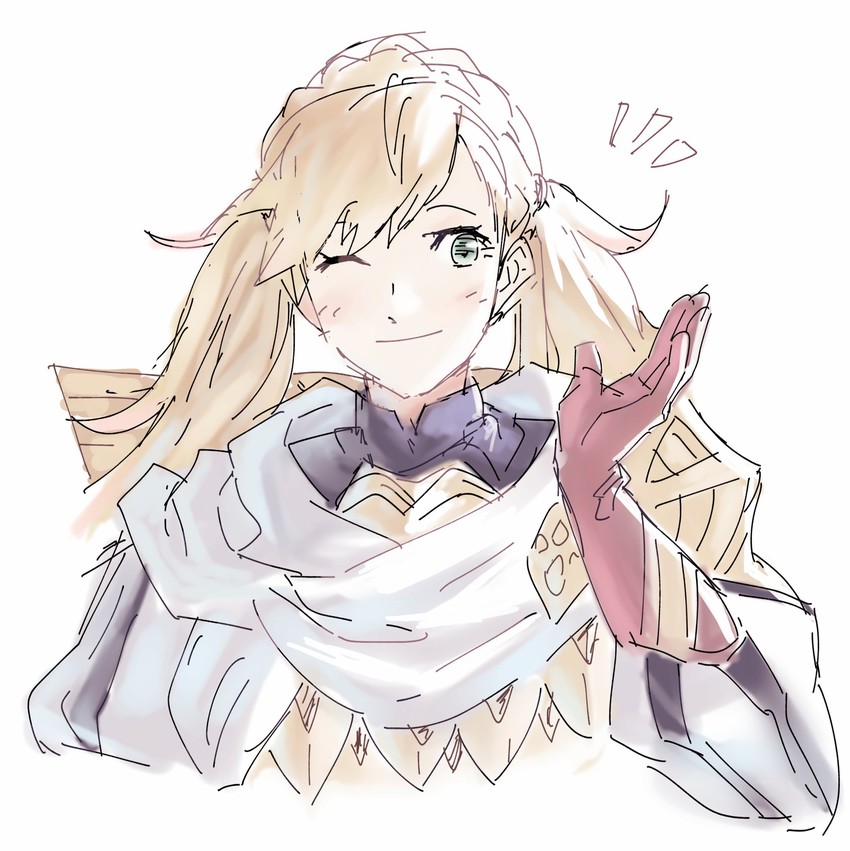 sharena (fire emblem and 1 more) drawn by tomentomob
