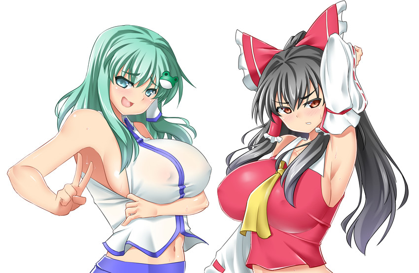 hakurei reimu and kochiya sanae (touhou) drawn by mokkori9