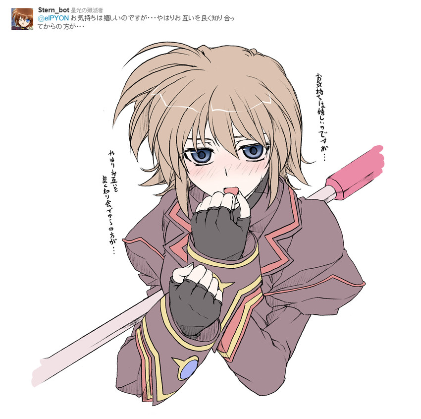 stern the destructor and luciferion (lyrical nanoha and 4 more) drawn by elf_(stroll_in_the_woods)
